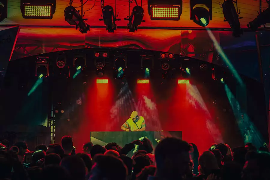 Photograph of Homoelectric party with a DJ and crowd