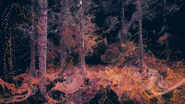 An orange and red visualisation of a forest