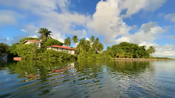 A tranquil waterfront scene shows Sacatar Institute nestled among palm trees and greenery, with reflections shimmering on the calm water. The sky is partly cloudy and sunny.